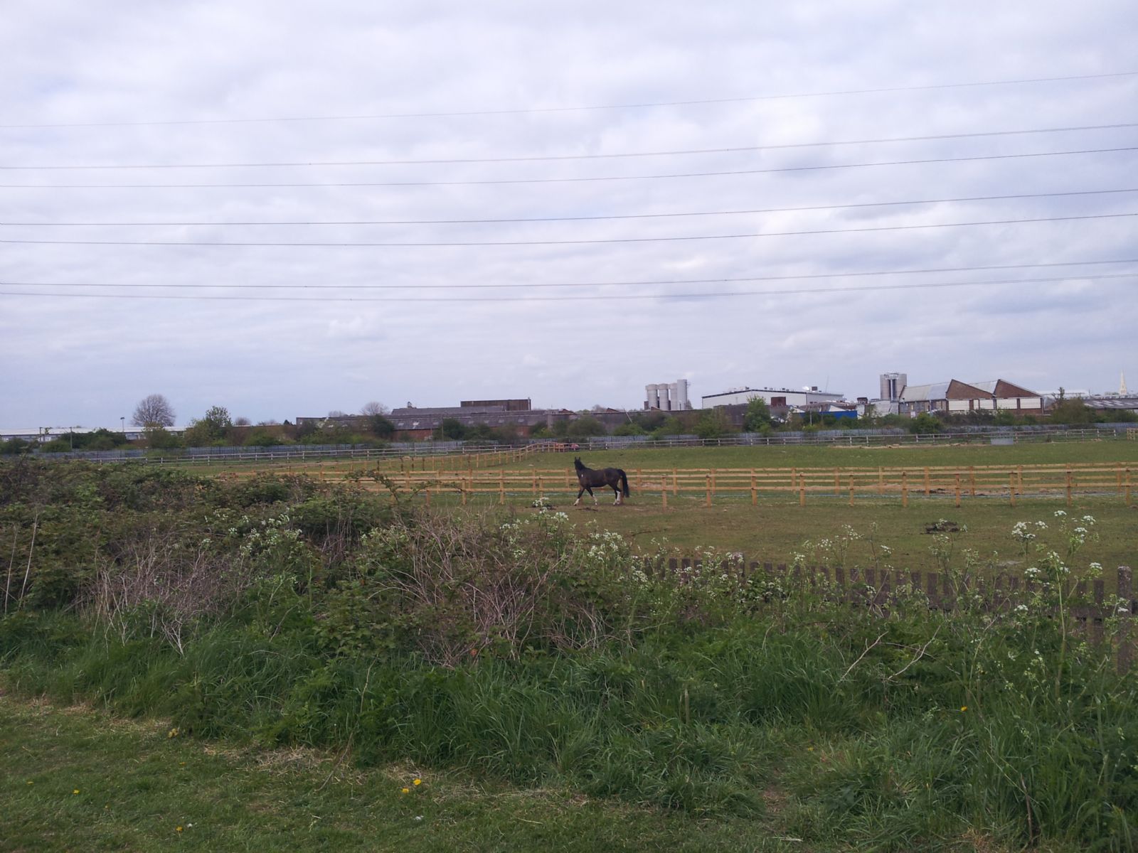 Lee Valley Riding Centre